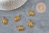 Dije tortuga zamac dorado 23mm, x5 VÁLIDO
