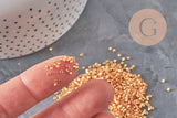 Miyuki Delica Beads 11/0 DB0410 - Galvanized Yellow Gold x8g VALID (G11297)