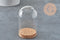 Cloche en verre et support en liège 10cm, x1 (G11392) VALIDE-Boite de rangement-Gingerlily Perles