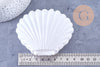 Boite bijou coquillage plastique blanc 9x7.5cm, x1 (G6629)