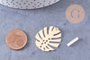 Boucles puces fer doré feuille monstera boucle 28mm, la paire (G1310)
