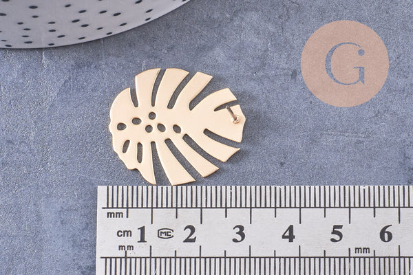 Boucles puces fer doré feuille monstera boucle 28mm, la paire (G1310)
