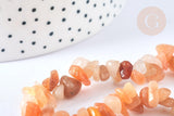 Bracelet élastique chips aventurine rouge naturelle 50mm, x1 (G7071)
