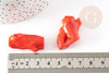 Branche corail naturel rouge orange percée perles coquillage x1 (G0594)