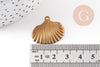 Breloque coquillage laiton brut 26mm, breloquesmétal doré pour création bijoux,sans nickel x2 G7268