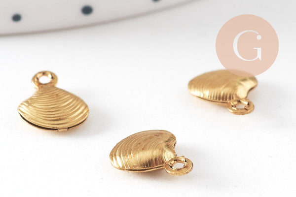 Breloque coquillage laiton, fournitures pour bijoux, breloques laiton brut ,pendentif bijoux,sans nickel, x 10, 8mm,G2559