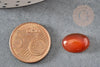 Cabochon ovale cornaline naturelle orange 10x14mm, x1 (G2020)