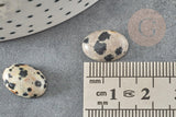 Cabochon ovale jaspe dalmatien naturel 10x14mm, x1 (G1568)