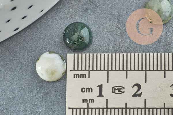 Cabochon rond agate mousse verte 8mm, x1 (G2422)
