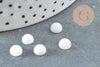 Cabochon rond jade blanc 6mm, x1 (G2885)