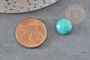 Cabochon rond jade naturel vert aqua 12mm, x1 (G0700)