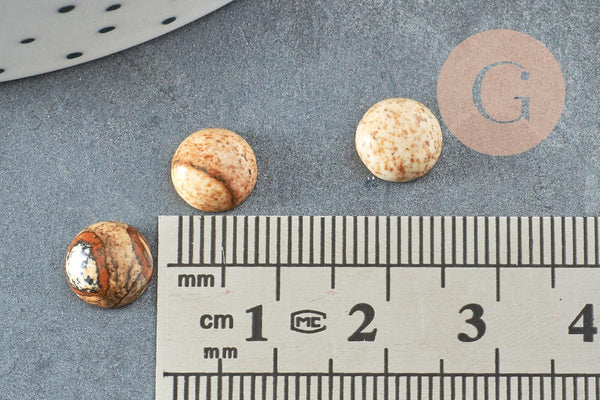 Cabochon rond jaspe paysage naturel 8mm, x1 (G0442)