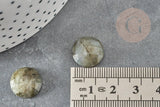 Cabochon rond labradorite naturelle à facettes 14.5mm, x1 (G2264)