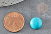 Cabochon rond turquoise naturelle 12.5mm, x1 (G1747)