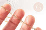 Collier Chaine complÚte forçat acier 304 inoxydable doré IP 2mm/50cm avec fermoir, x1 (G9300)