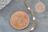 Chaine plate acier inoxydable doré IP fantaisie résine blanc 2.5mm, x1 mètre (G10012)