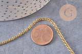 Chaine rolo fer doré 2.7 mm, x 5 mètres (G0264)