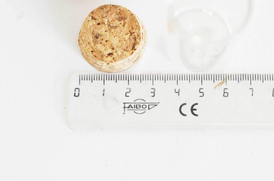 Cloche tube verre et bouchon en liège 30x60mm-G0207