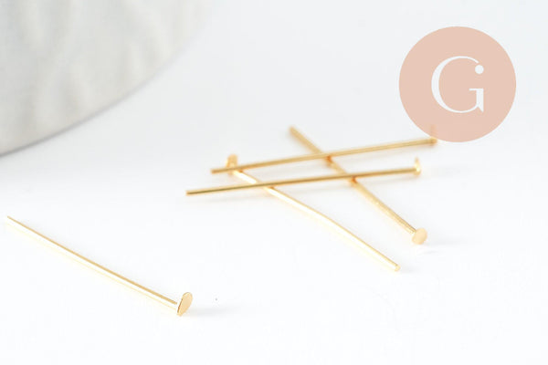 Clous tige tête clou acier 304 inoxydable 20mm, x10 (G9464)