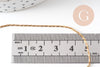 Collier Chaine acier inoxydable doré 14k serpent 1mm-42.5cm, x1 (G1101)