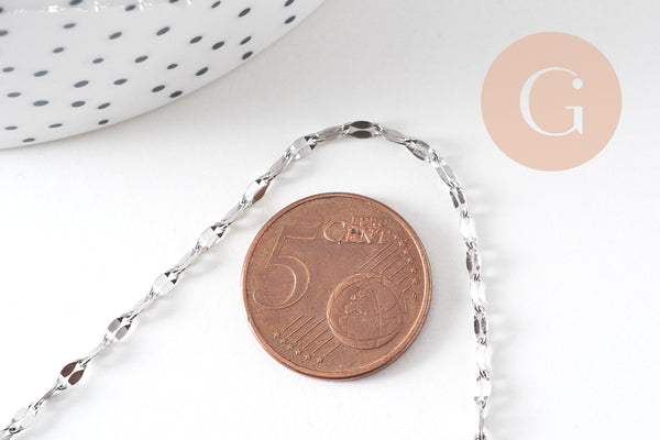 Collier Chaine complète avec fermoir acier inoxydable platine 45cm, x1 (G6566)