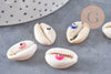 Coquillage cauris ouvert oeil chance 18-22mm,x10 (G2058)