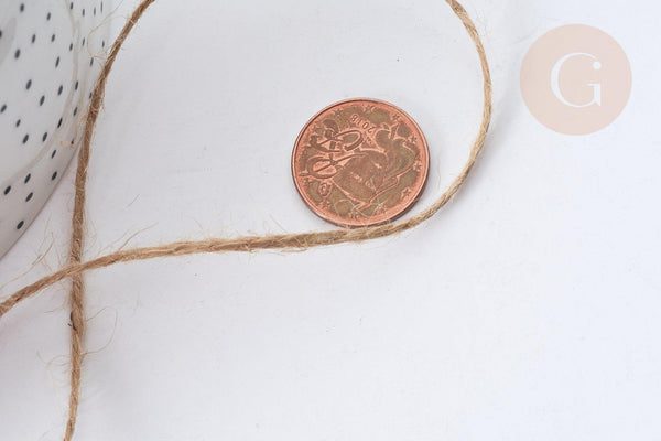 Corde de jute beige 1~2mm, x5 mètres (G7982)