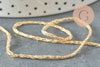 Cordon satiné doré à paillettes, x1 x5 x10 Mètres (G2375)