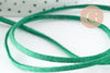 Cordon suédé vert à paillettes imitation cuir4mm, x1 mètre (G1287)