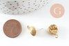 EP-Boucles puce coquillage laiton brut 12x16mm, x2 (G4879)