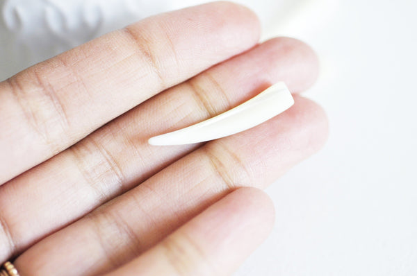 EP-Corne nacre blanche naturelle percé 33-38mm, x 2 (G2678)