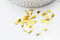 EP Embouts corde métal doré pincer,fournitures créatives,fournitures dorées,création bijoux,finition ruban,finition chaine,x 50, 8mm G4768