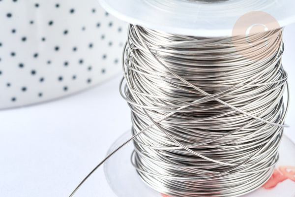 EP Fil d'acier inoxydable platine argenté 0.6mm, x1 mètre (G7055)