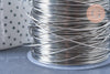 Fil d'acier inoxydable platine argenté 0.8mm, x1mètre (G6438)