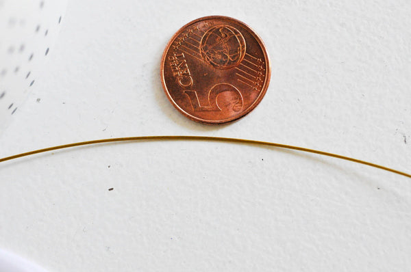 EP Fil nylon 2m métallique acier doré 0,6mm G3791