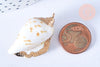 EP Pendentif coquillage naturel spirale doré 33-47mm, pendentif création bijoux coquillage, x1 G7161