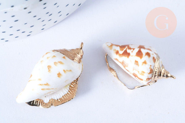 EP Pendentif coquillage naturel spirale doré 33-47mm, pendentif création bijoux coquillage, x1 G7161