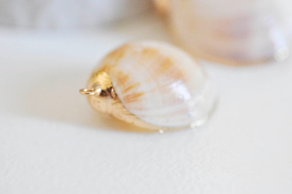 EP Pendentif coquillage naturel spirale doré, fourniture créative, pendentif doré, création bijoux, coquillage bijou,coquillage or, 30-35mm G5140