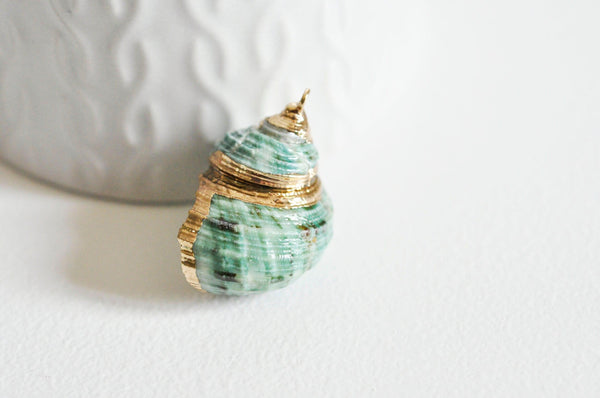 EP Pendentif coquillage naturel vert doré 25mm-G0609
