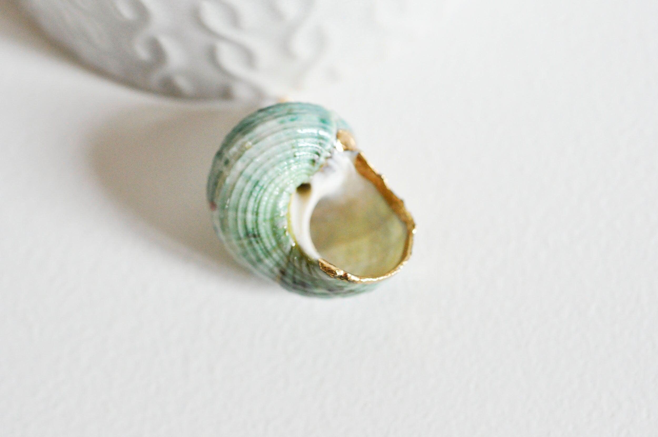 EP Pendentif coquillage naturel vert doré 25mm-G0609
