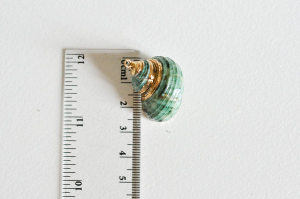 EP Pendentif coquillage naturel vert doré 25mm-G0609