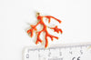 EP Pendentifs doré corail émail orange,pendentif coquillage, laiton doré, pendentif corail,création bijoux,35mm, x1-G1569