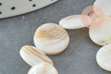 EP-Perle disque nacre blanche naturelle 15mm, x1 fil de 38cm (G2730)