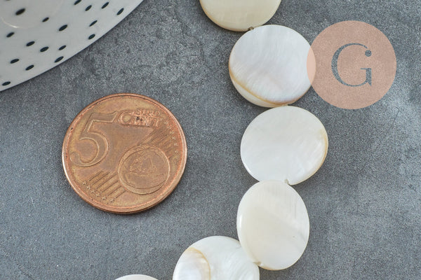 EP-Perle disque nacre blanche naturelle 15mm, x1 fil de 38cm (G2730)