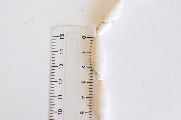 EP Perle ovale turquoise blanche, turquoise naturelle,perles blanches, perle pierre, création bijoux, x 5, 30mmx10mm-G1319