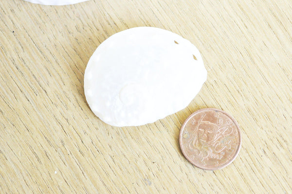 EP coquillage naturel blanc nacré HALIOTIS OVINA, bijou coquillage naturel,3.5-5cm, x1 G4164
