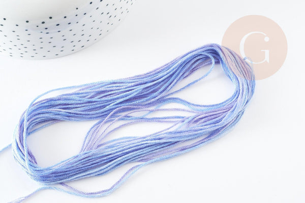 Fil à broder polyester dégradé bleu violet 0.5mm, fil original, pour bracelet brésilien, fil à broder ou scrapbooking, x8 mètres G9354