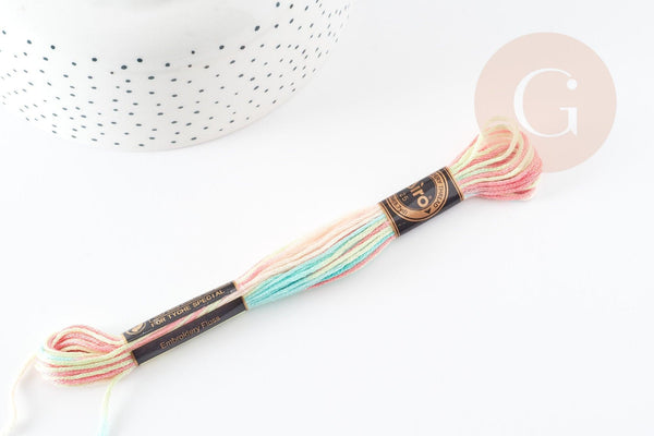 Fil à broder polyester dégradé rose turquoise 0.5mm, fil original, pour bracelet brésilien, fil à broder ou scrapbooking, x8 mètres G9357