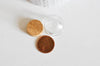 Mini cloche en verre et support en liège 36.5mm, x1 (G0763)