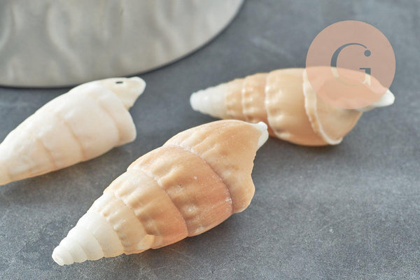 Pendentif Coquillage naturel spirale Conch 47mm, x5 (G1658)